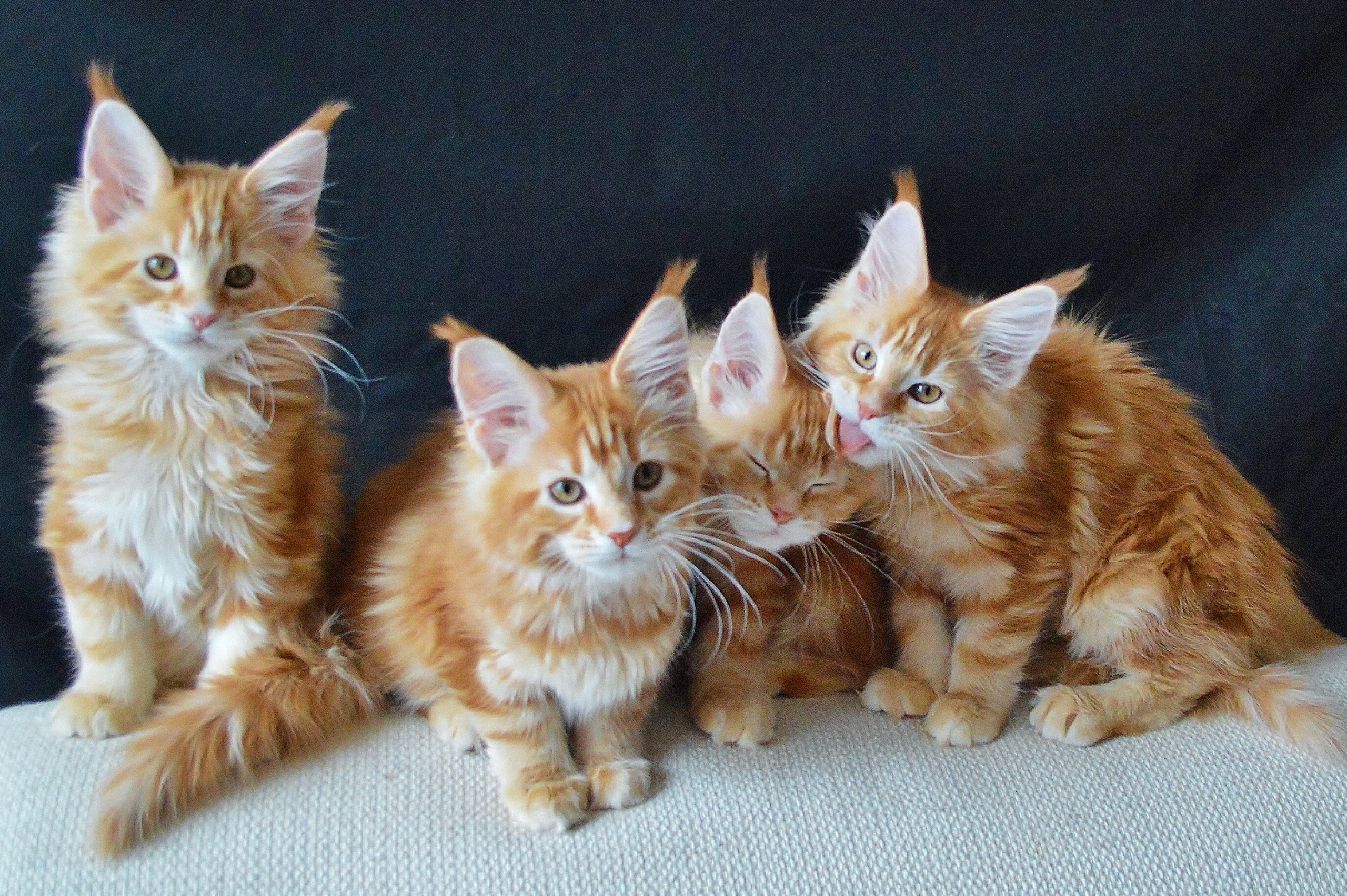 Мы умылись, завтрак давайте