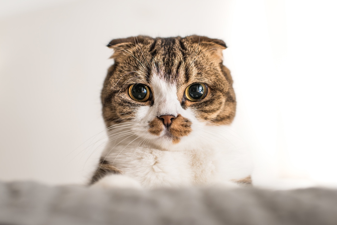 Кто проснулся, тому - здрасьте