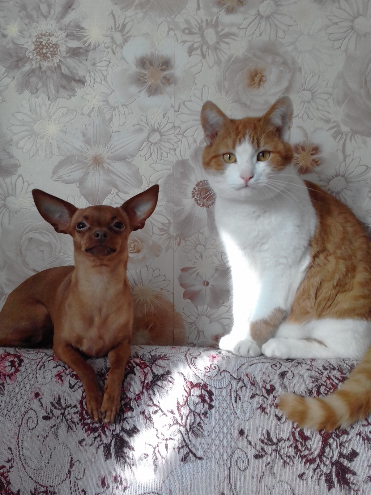 Мы живём дружно, можете не сомневаться