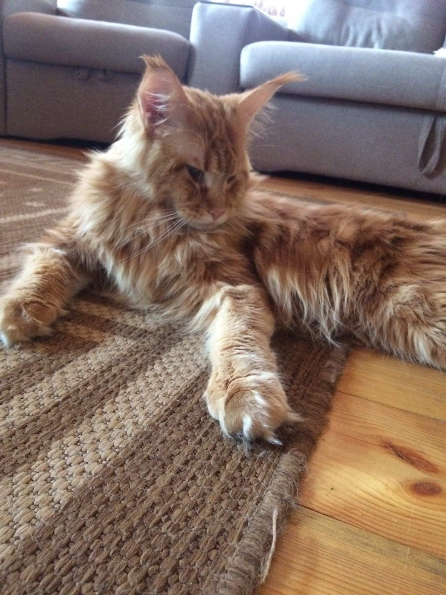 Что - то, грустно