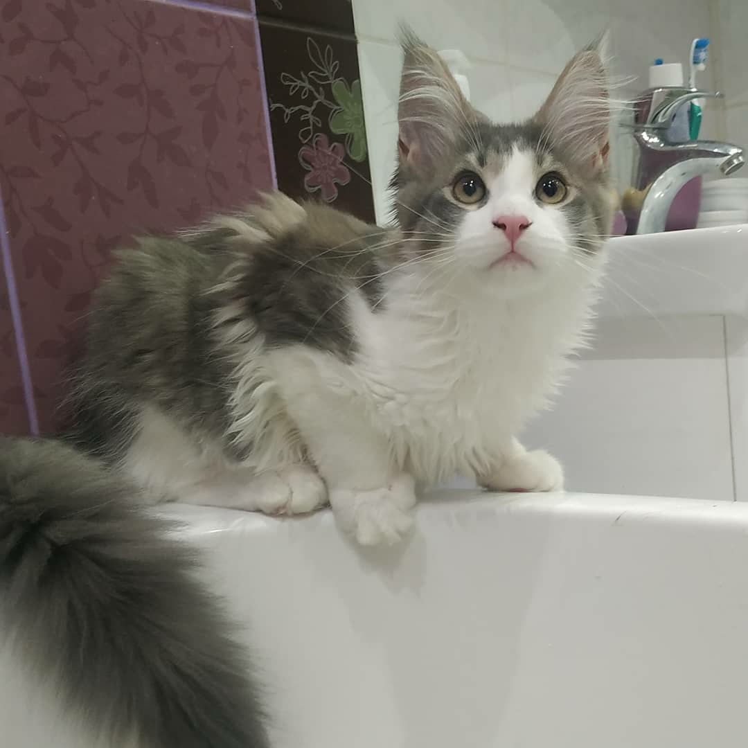 Кто купаться, я составлю компанию