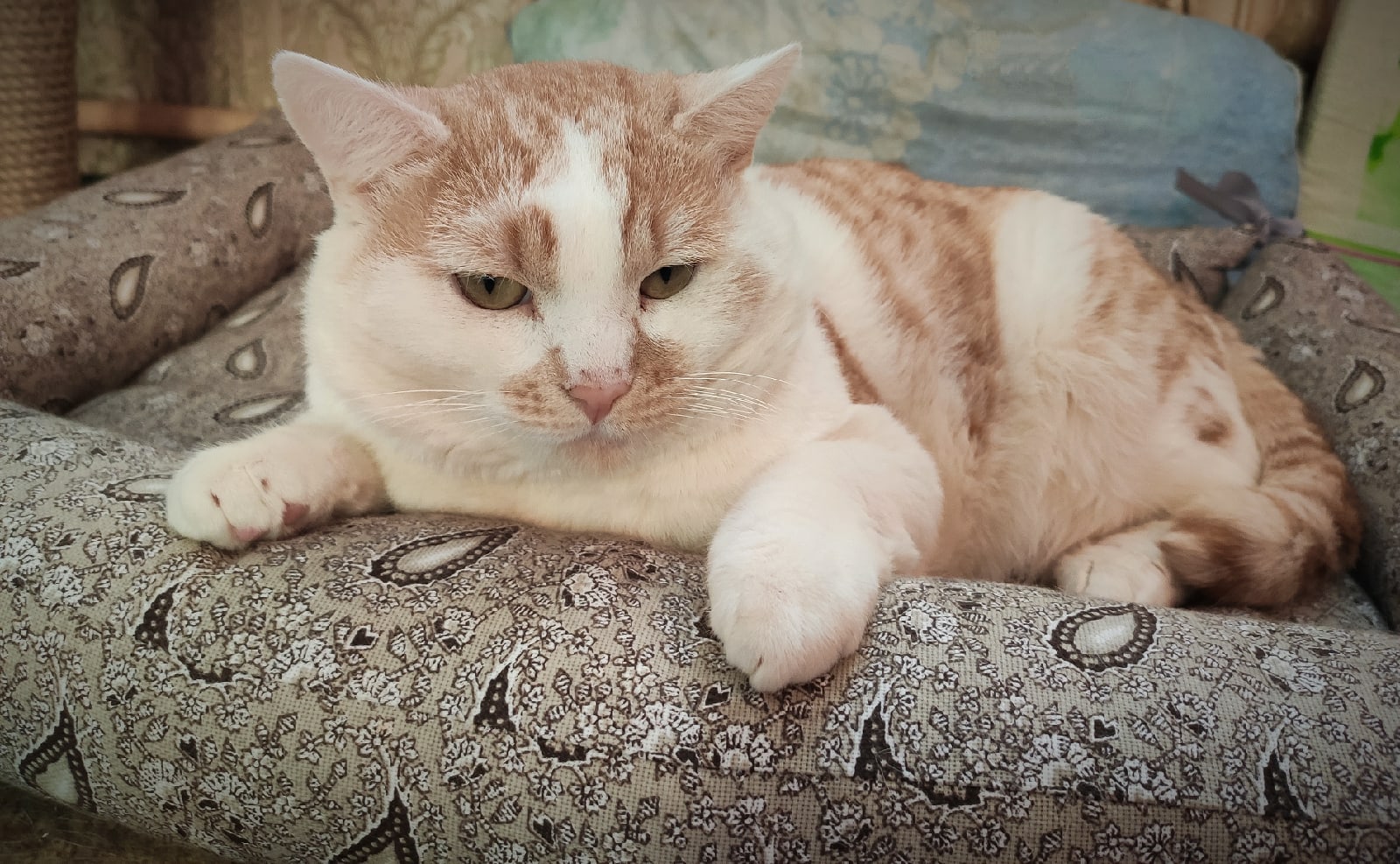 Сначала - пойти пописать или умыться, или наоборот