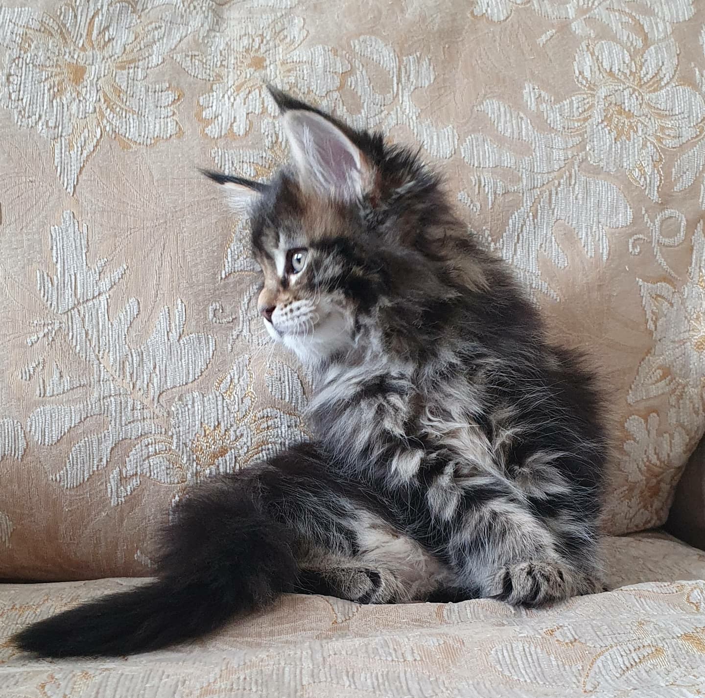 Кажется, кто - то ужинать собрался без меня