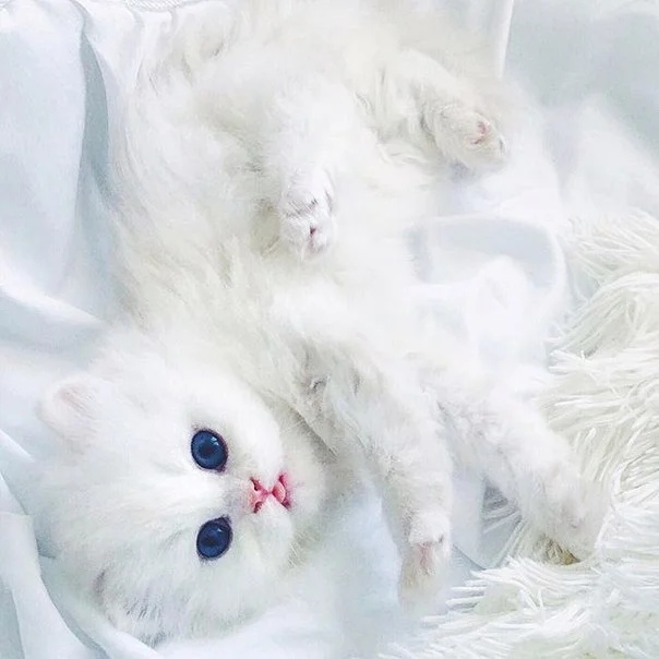 Настроение у меня - отличное