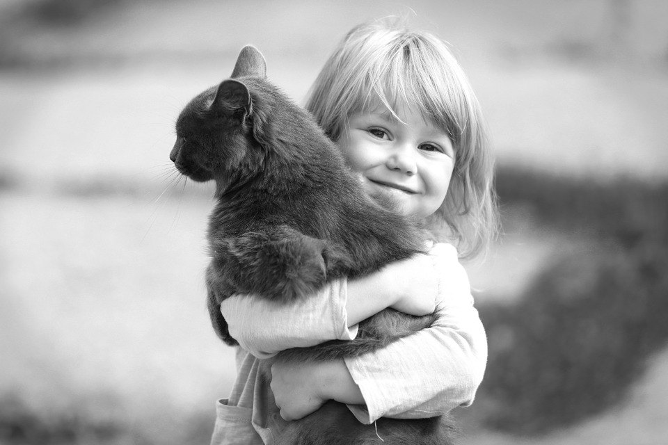 Что ещё для счастья надо, если есть кот