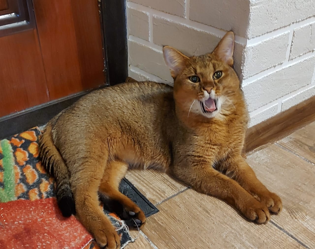 Что - то, я притомился