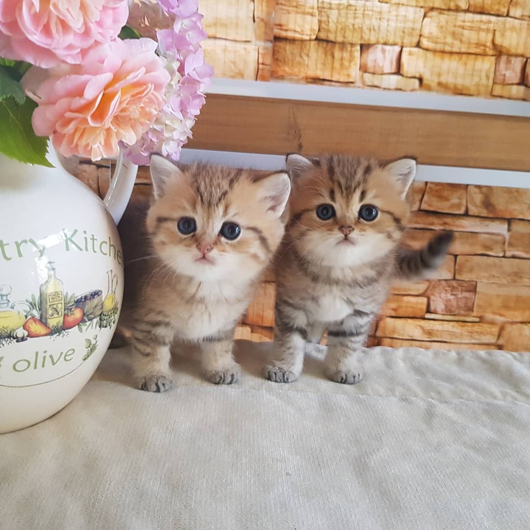 Мы проснулись, теперь надо срочно придумать игры