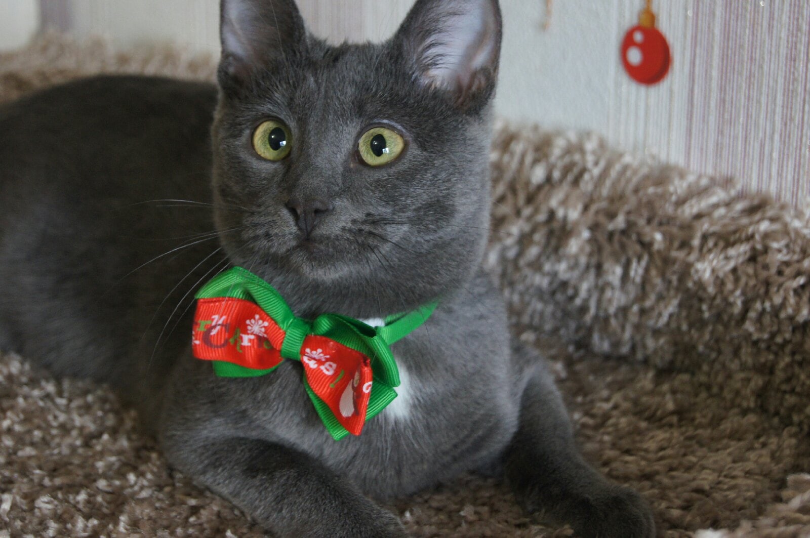 Сегодня праздник у меня, какой незнаю