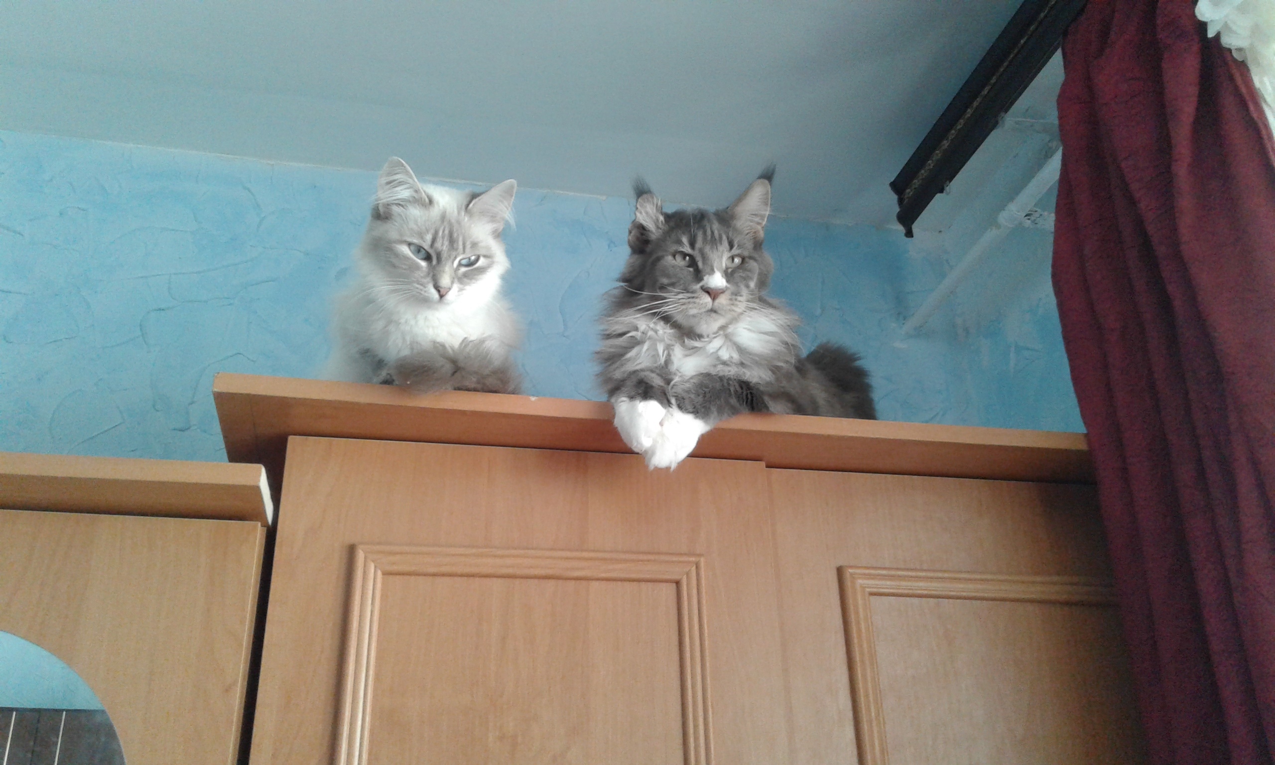 Хозяева сделайте уборку, мы вам мешать не будем