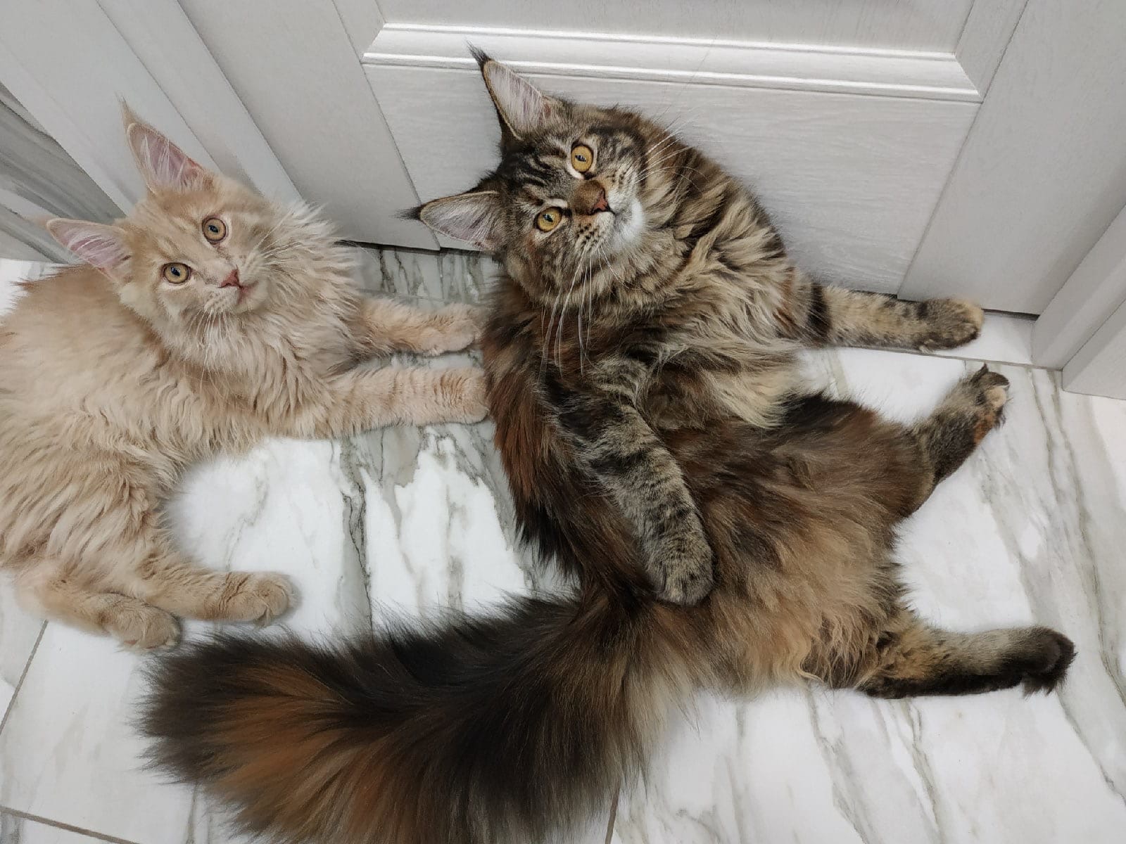 Наташ, не ходи на работу, мы же скучать будем