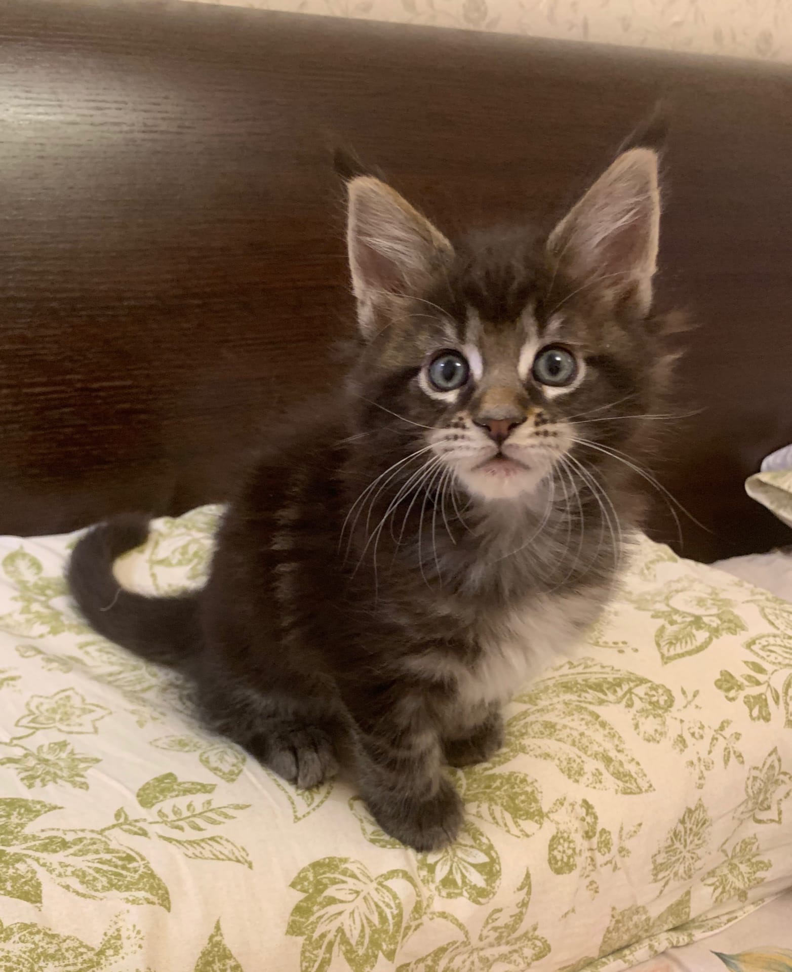 И что,вам не спится в выходной день