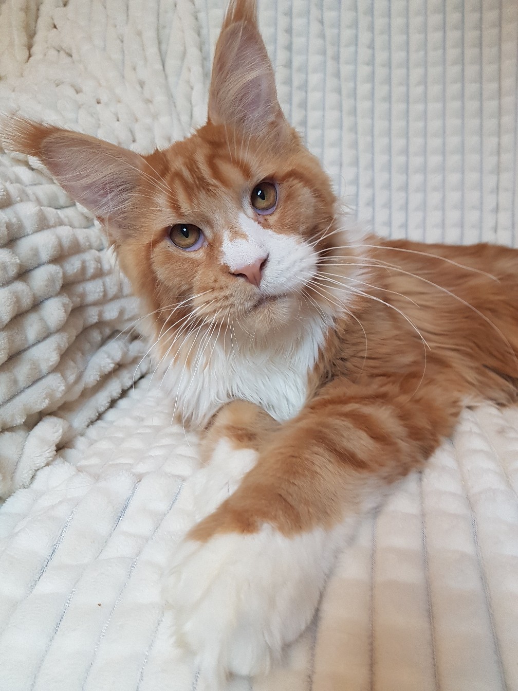 Присаживайтесь, ко мне поближе