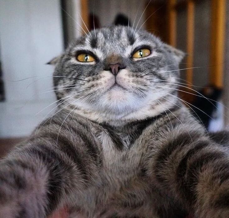 Красавчик в полном расцвете сил, желает познакомиться