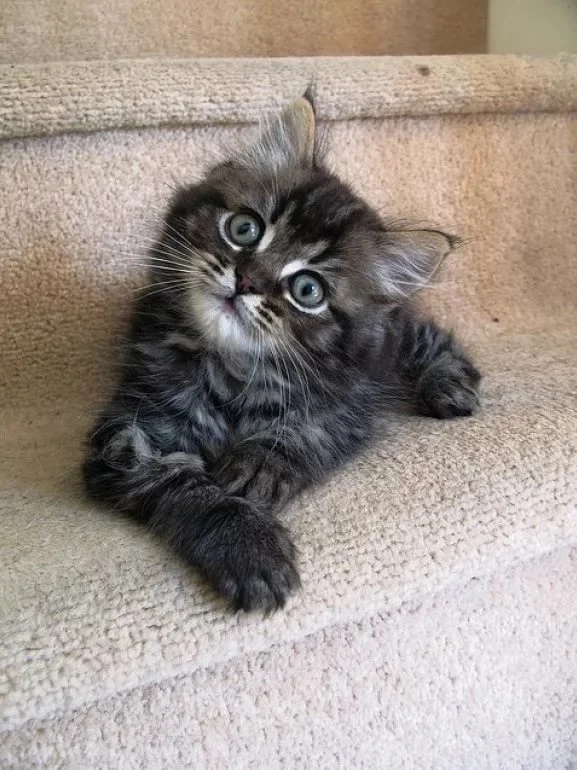 Настроение с утра, у меня что надо