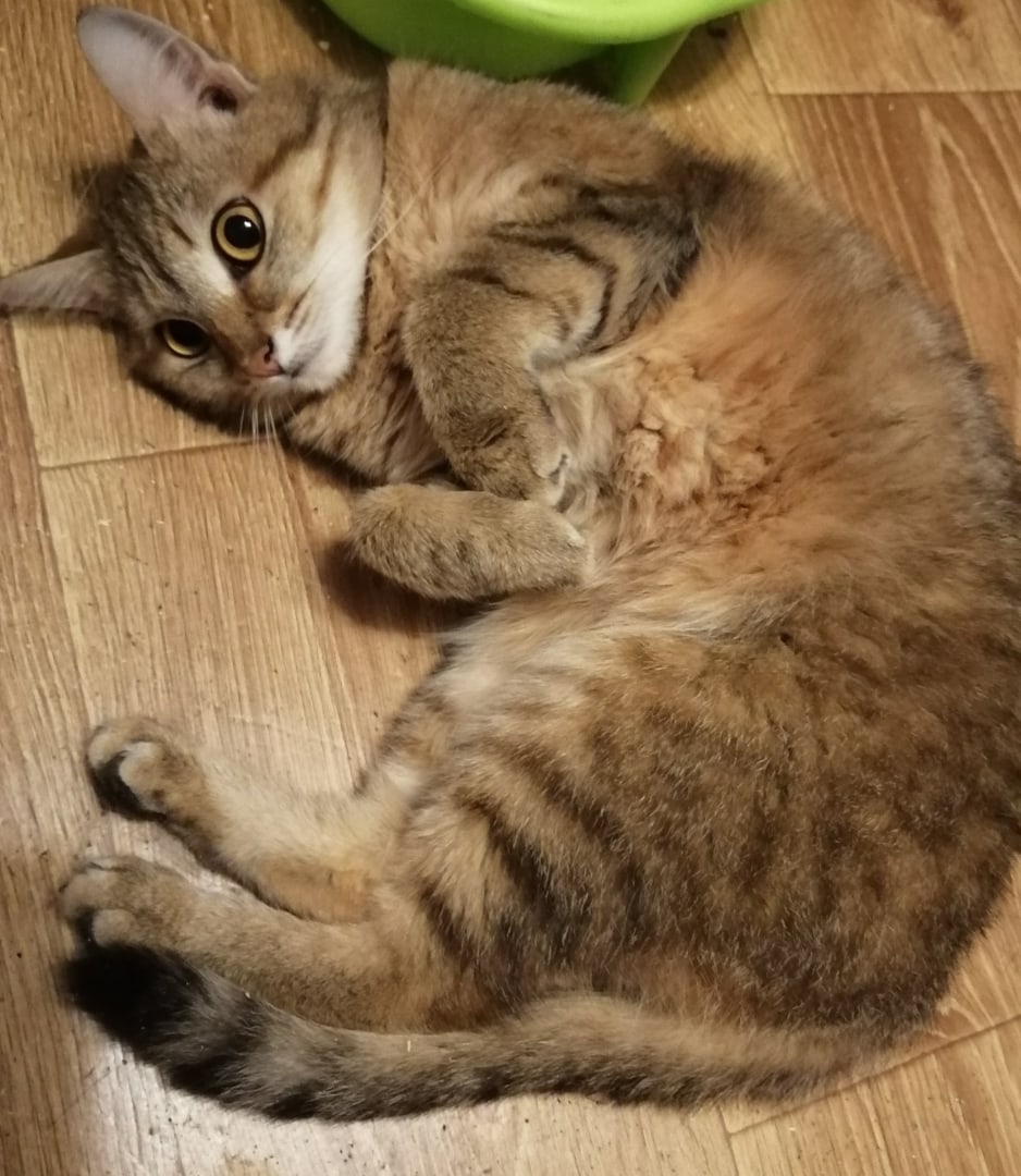 Кто сказал, что по утрам, надо прям подскакивать