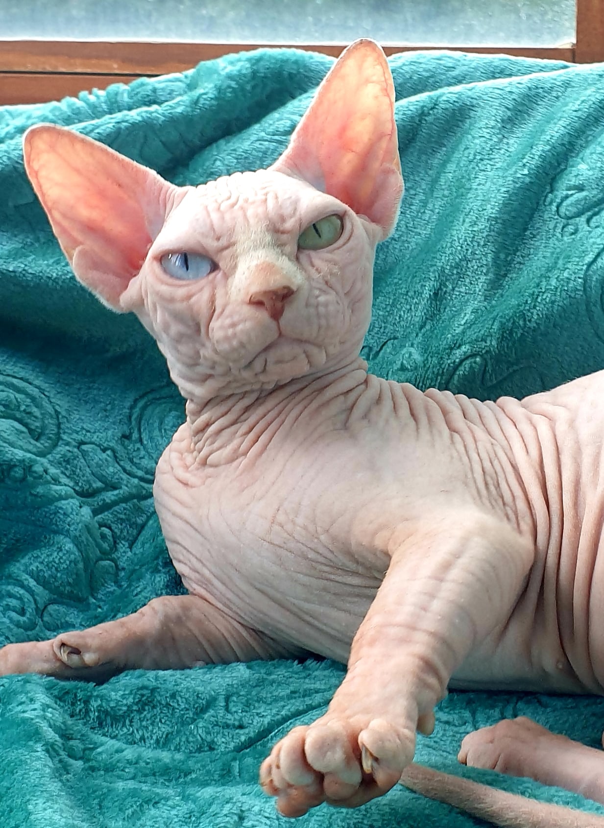 Вы меня не бойтесь, я на самом деле - добрая