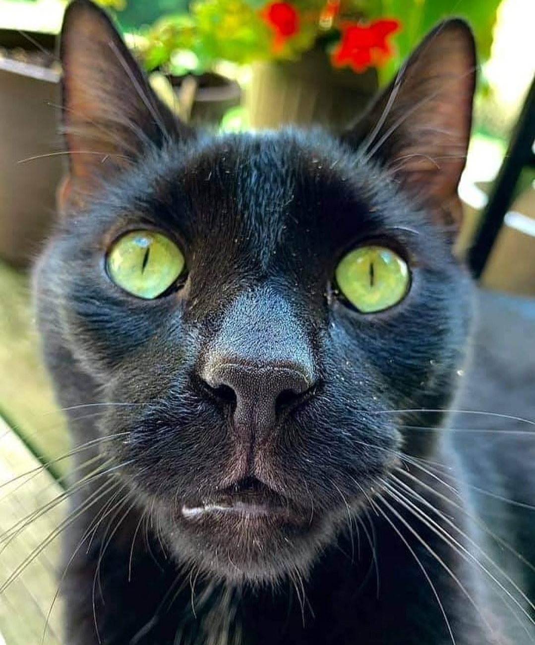 А мы что, сегодня завтракать не будем