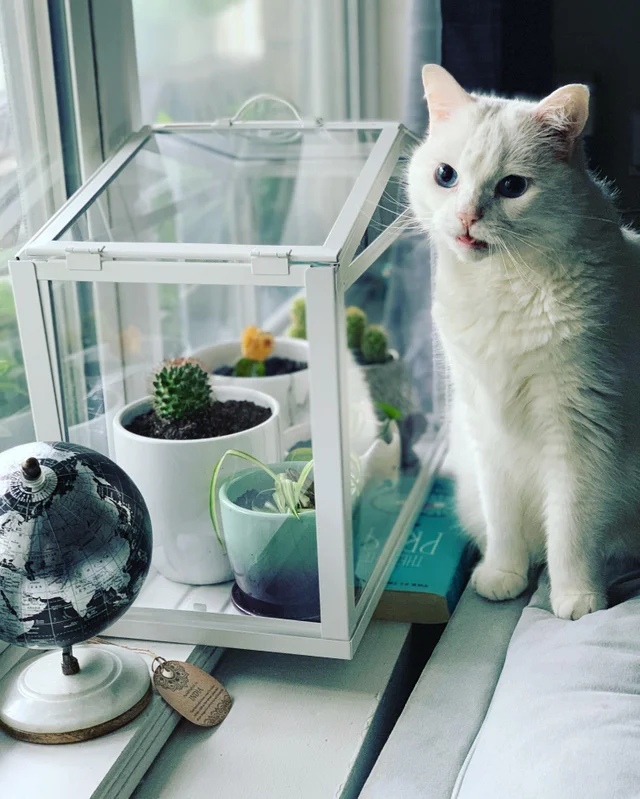 Всё от меня прячут, жадины