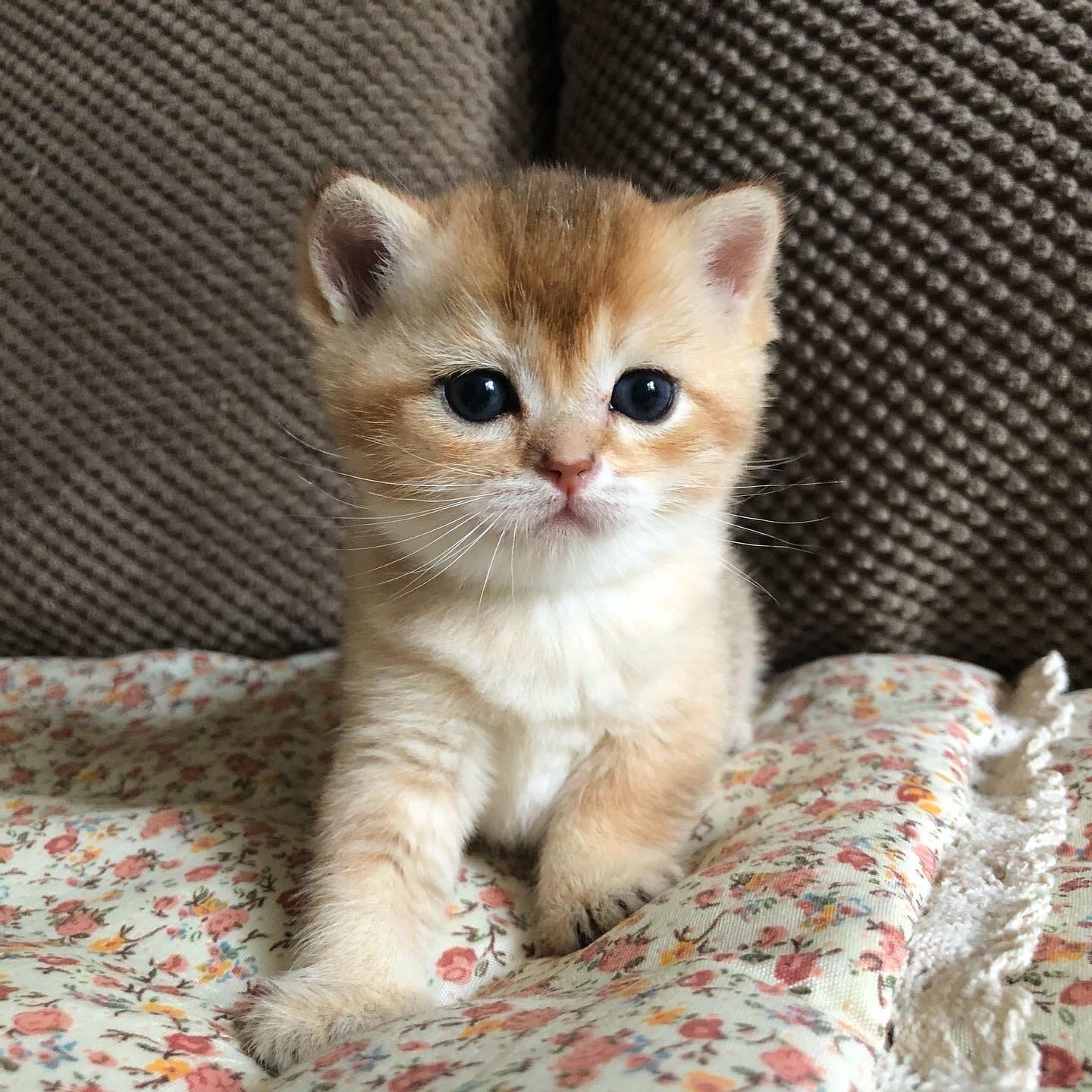 Чем заняться, после обеденного сна