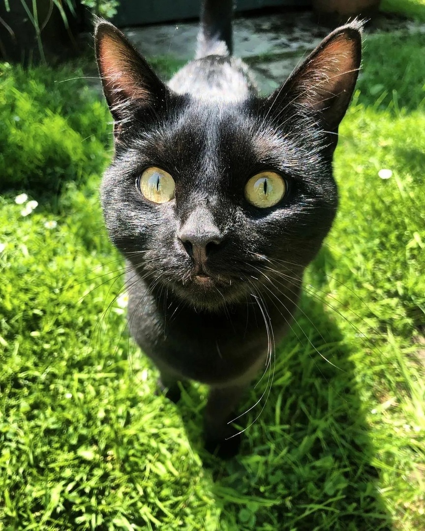 Здравствуйте, проходите, я вам всё покажу