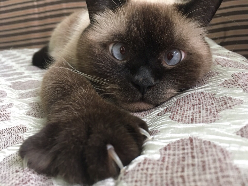 Я такая,непознанная