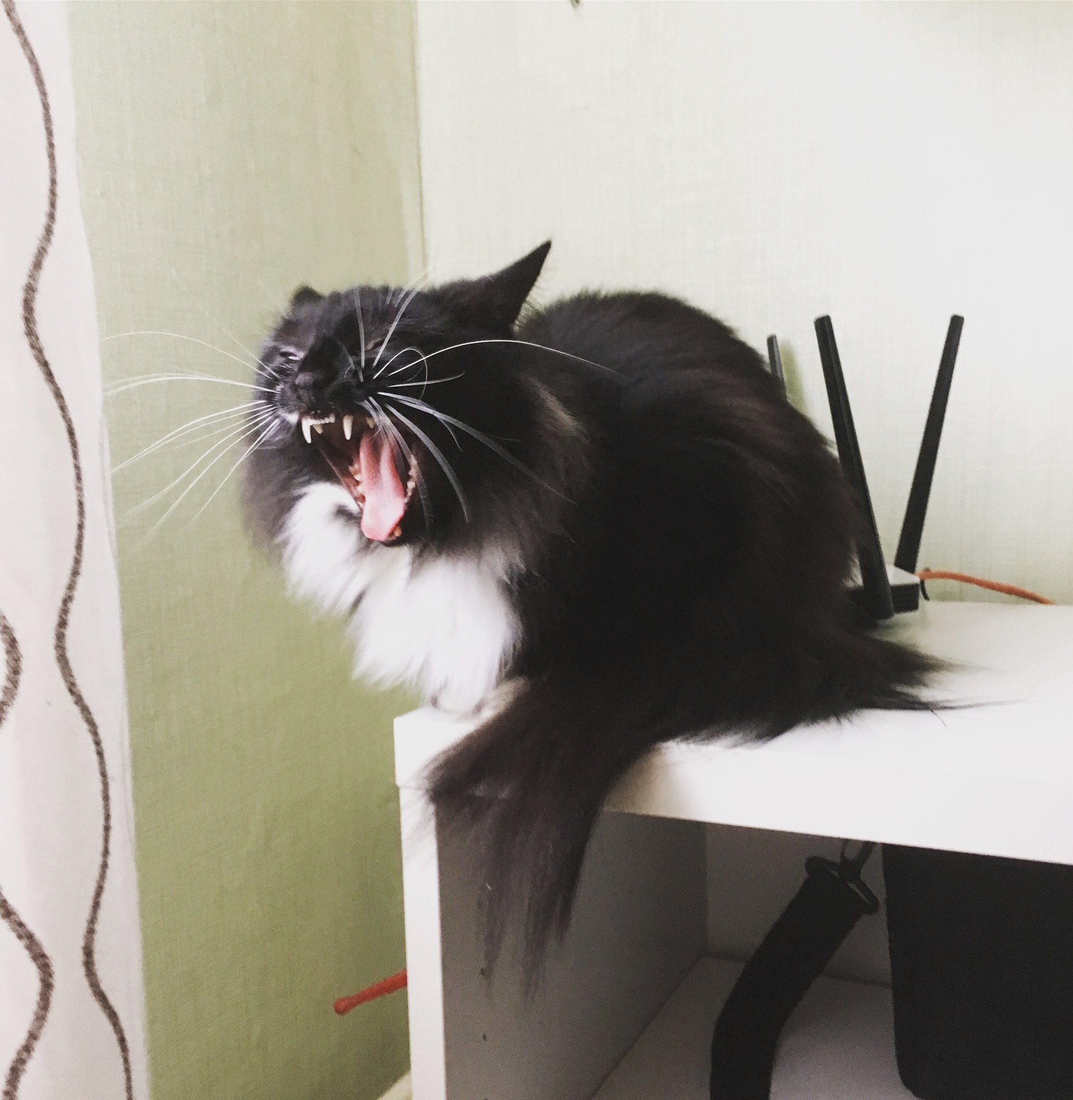 Караул, время пол шестого, а я ещё голодный