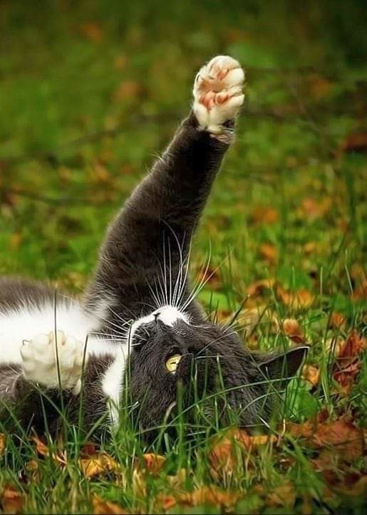 Облака плывут, а я их подгоняю