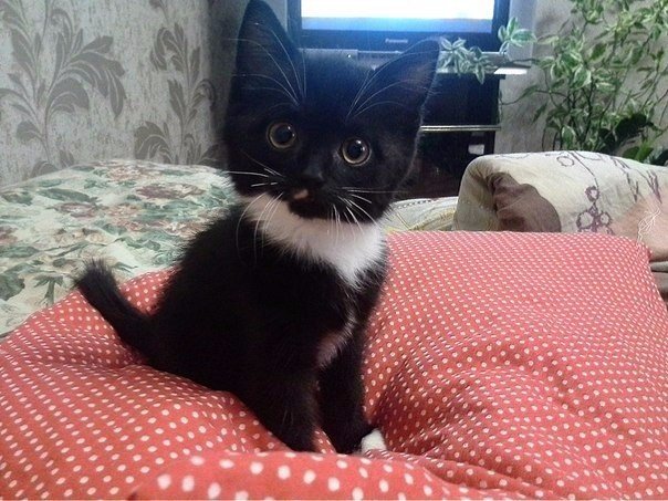 Классный мальчуган