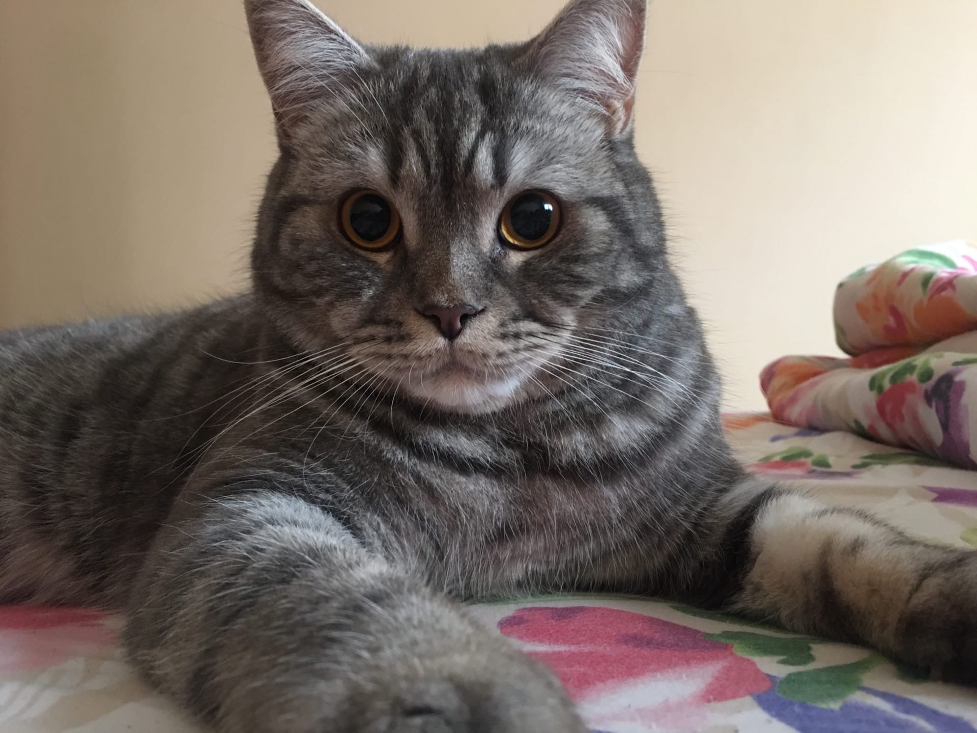 Что - то, мне не нравится, чем вы занимаетесь