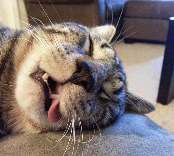 Полная отключка