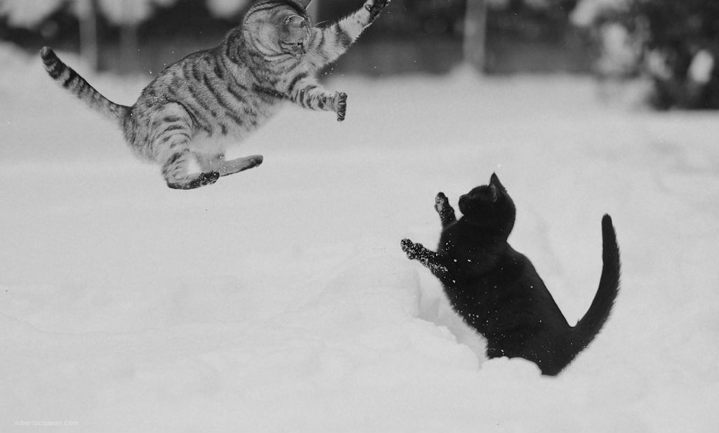 Мечтаем летом - о зиме