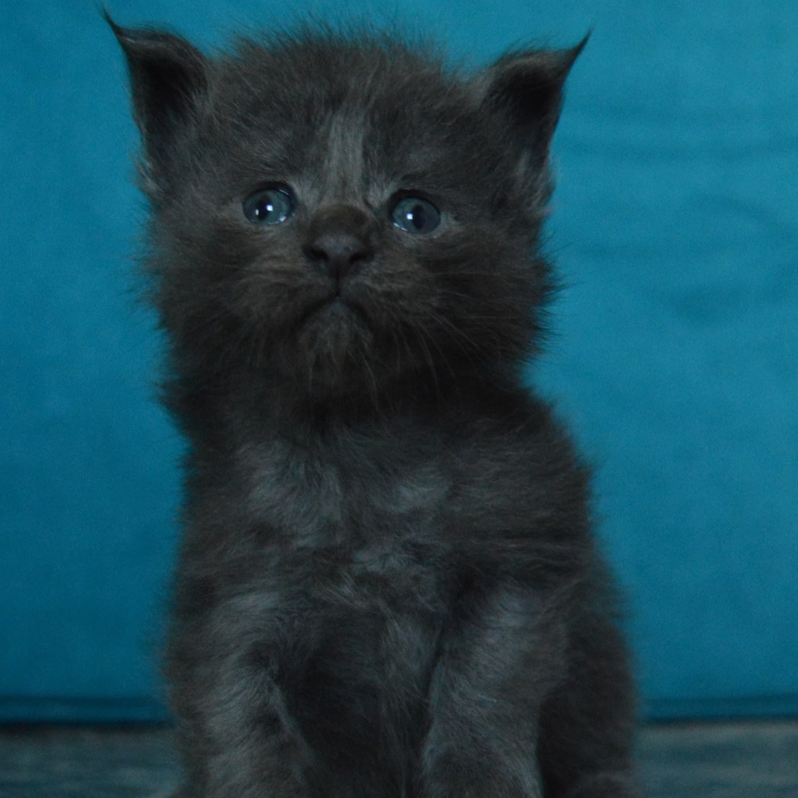 Что - то боязно мне, а чего незнаю