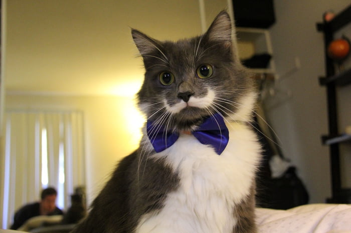 Для меня, выходной день - всегда праздник