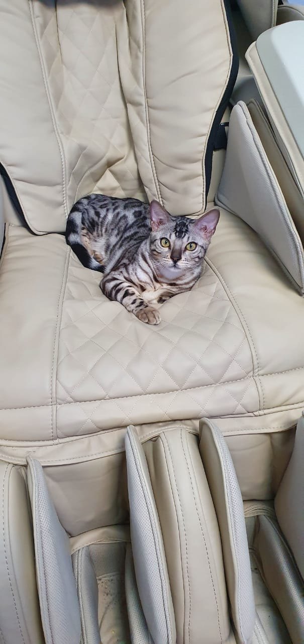 Каждый раз в поездке, меня укачивает