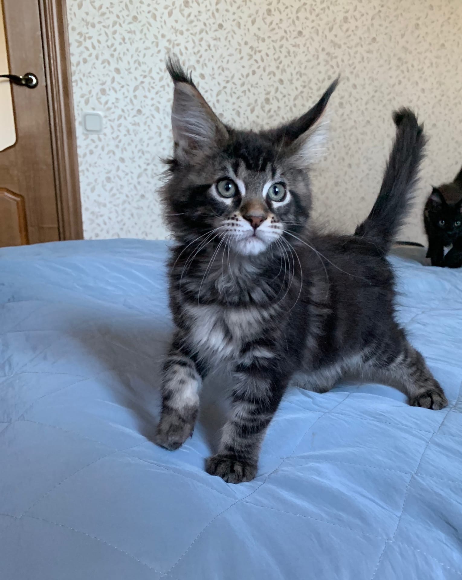 Я готов к нападению, я справлюсь