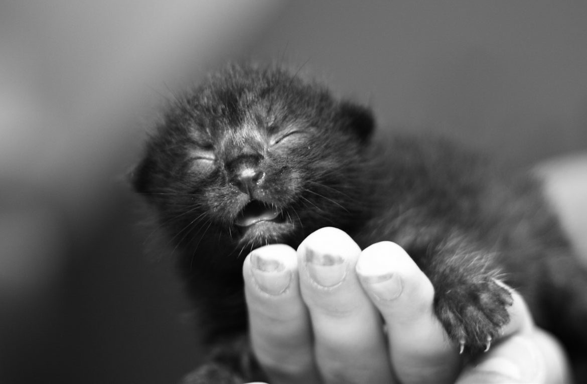 Я родился, а вы воспитывайте