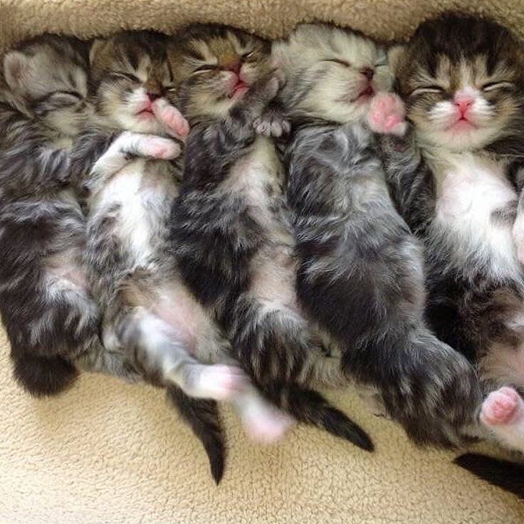 Тихий час в ясельной группе