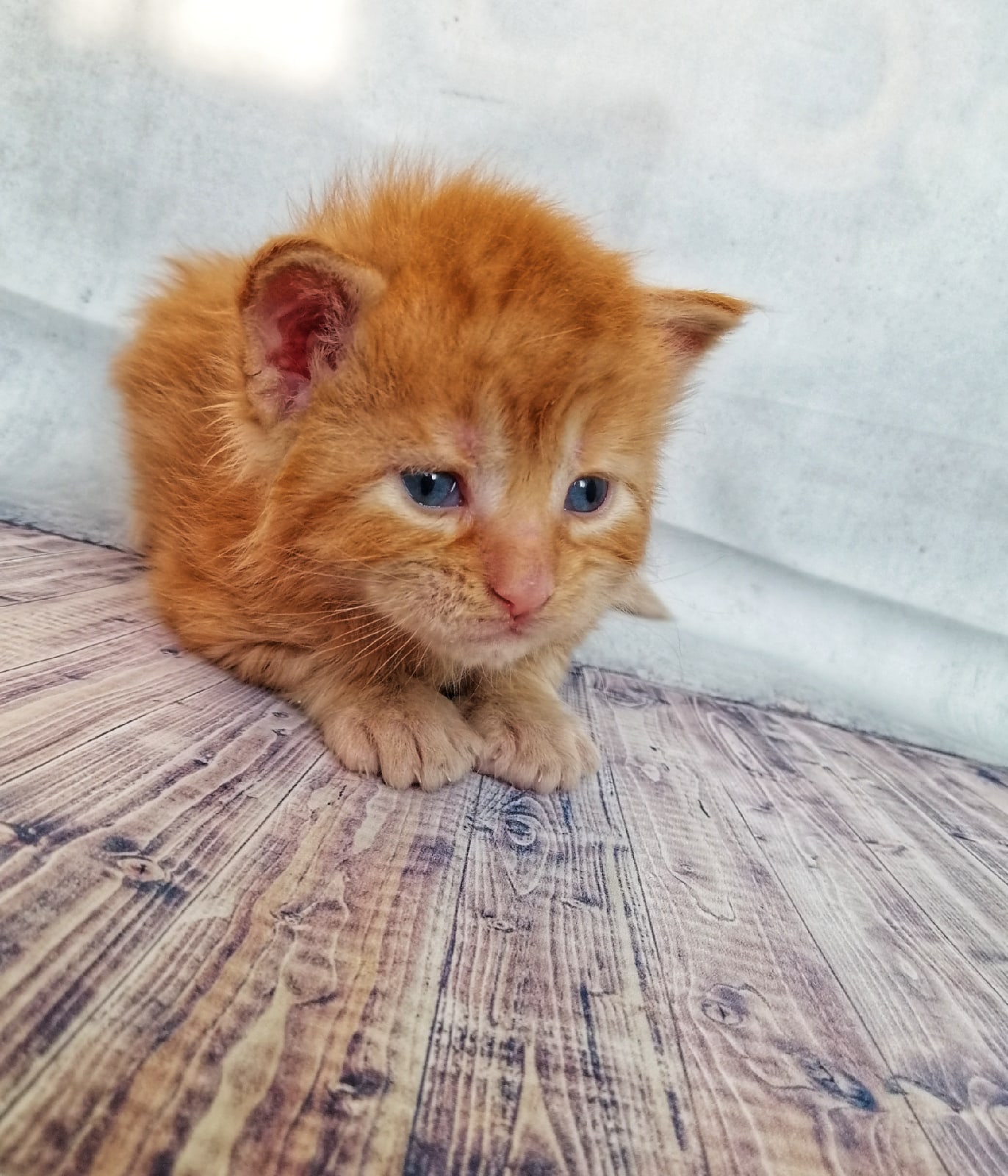 Мне так страшно, кто бы взял меня на ручки