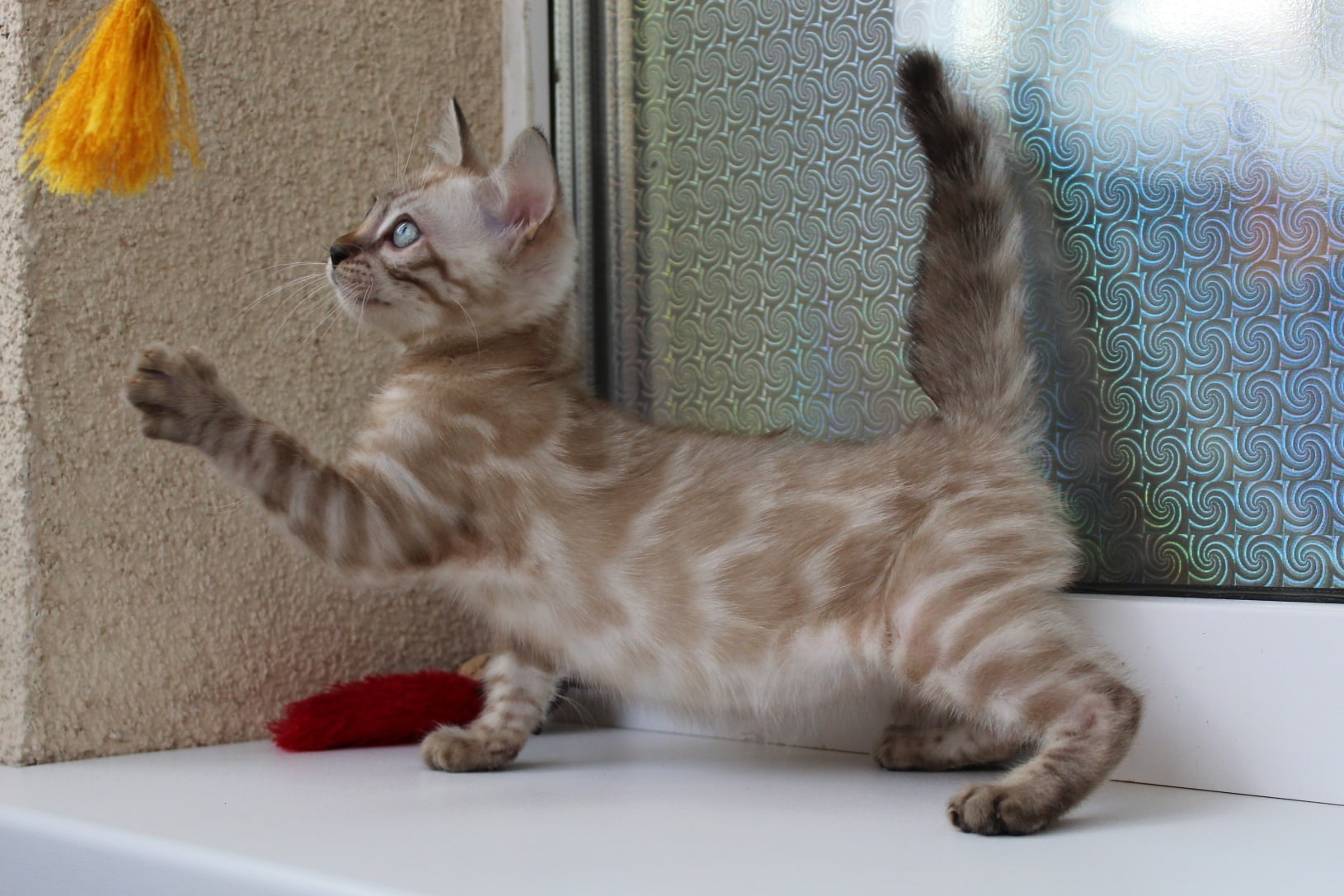 Давайте поближе, а то я не дотягиваюсь