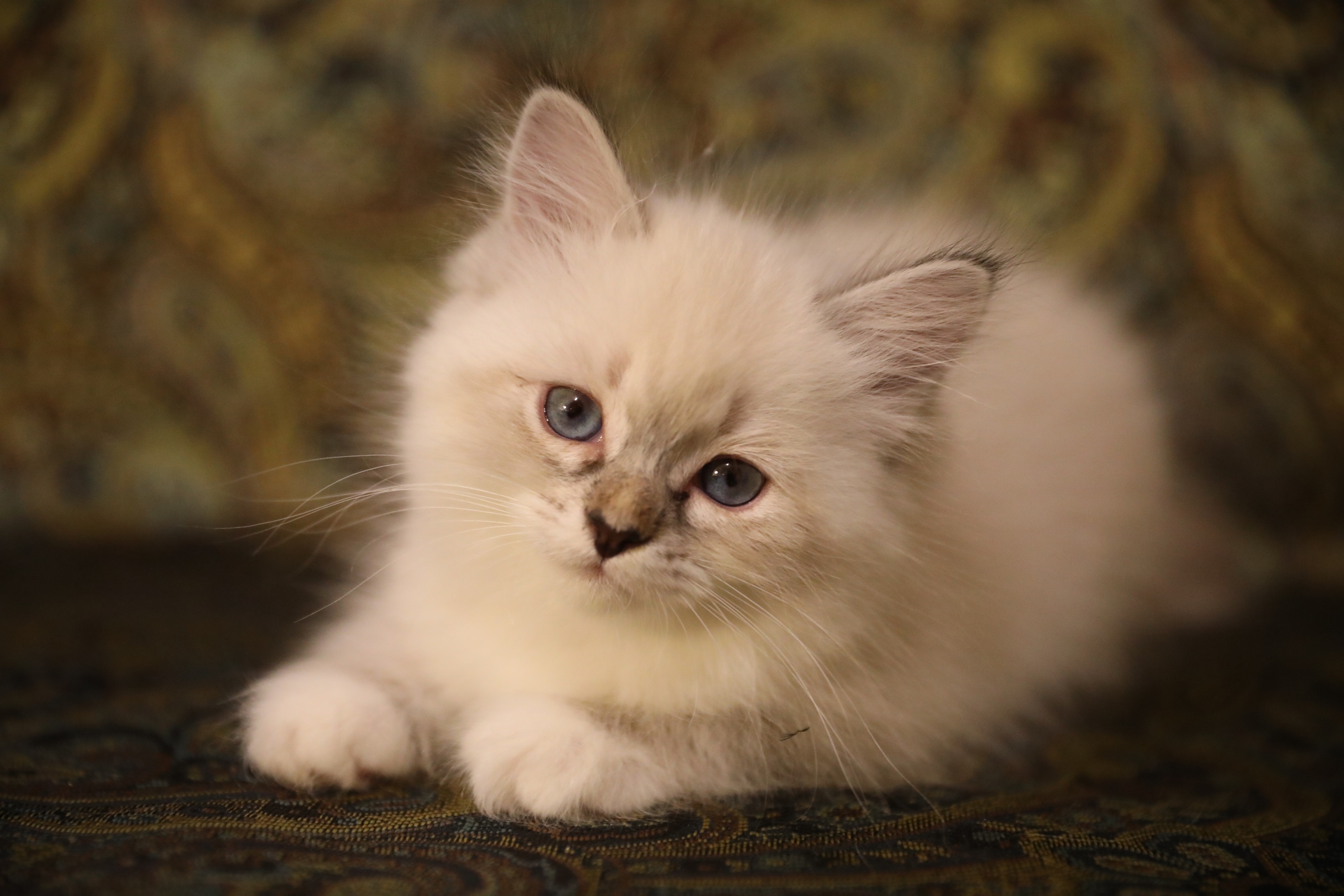 Может ещё поспим