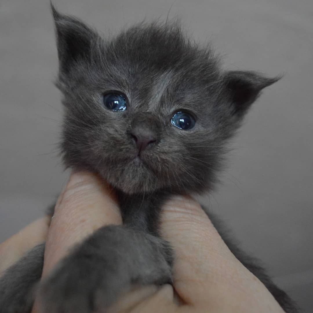 Держите крепче, я высоты боюсь