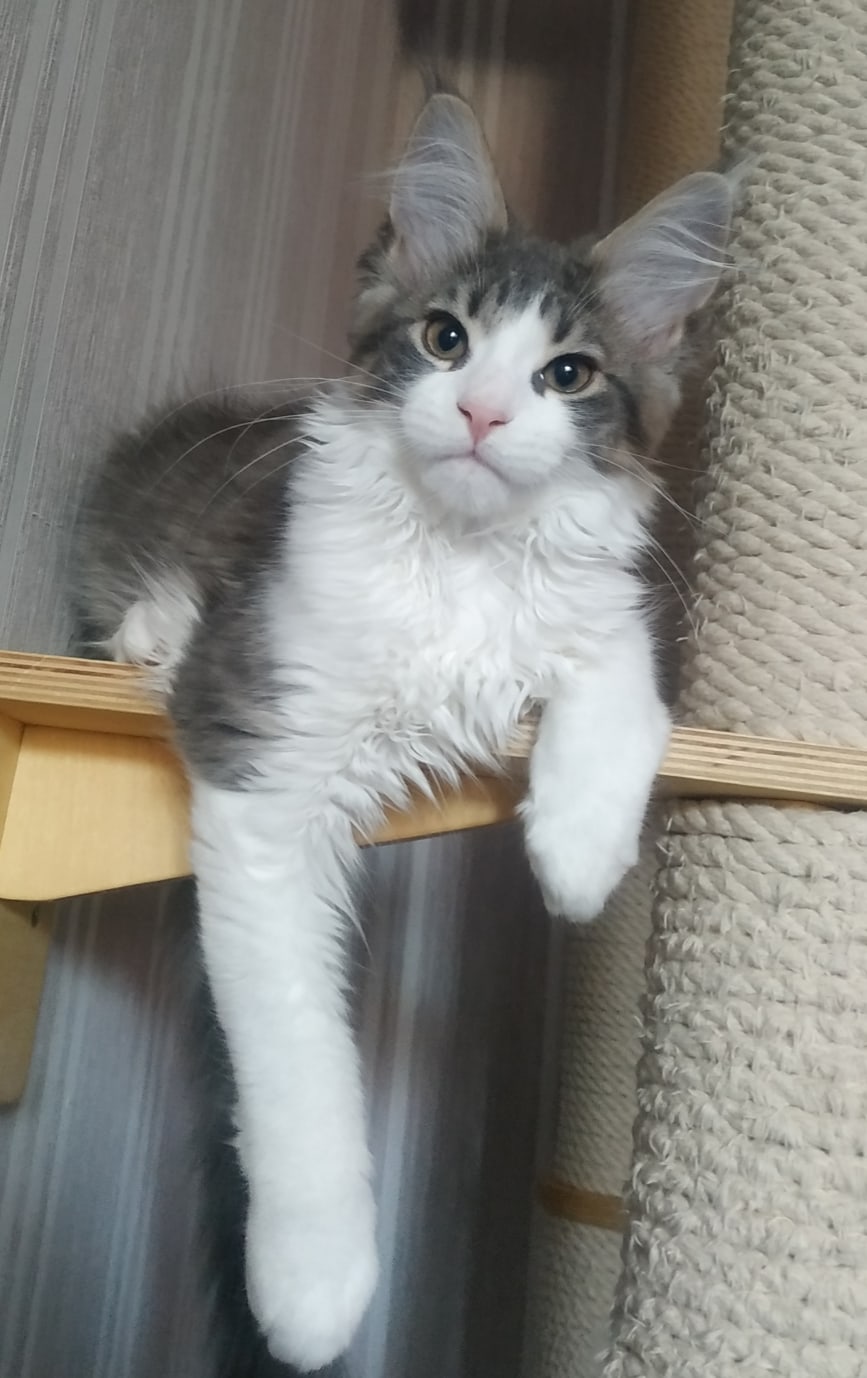 Что сидим, давай играть