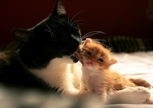 Давай умою тебя, сынок