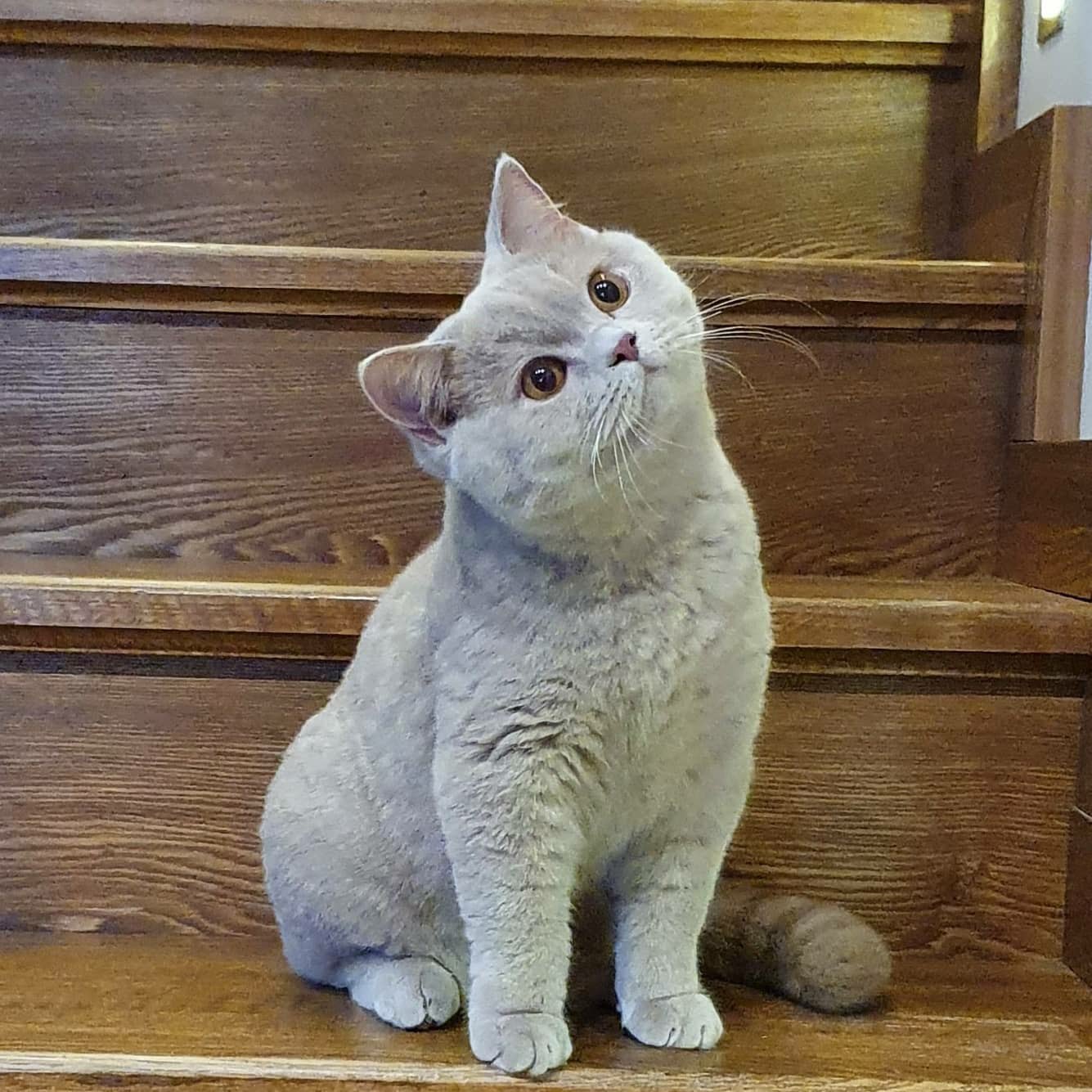 Хочу всё знать