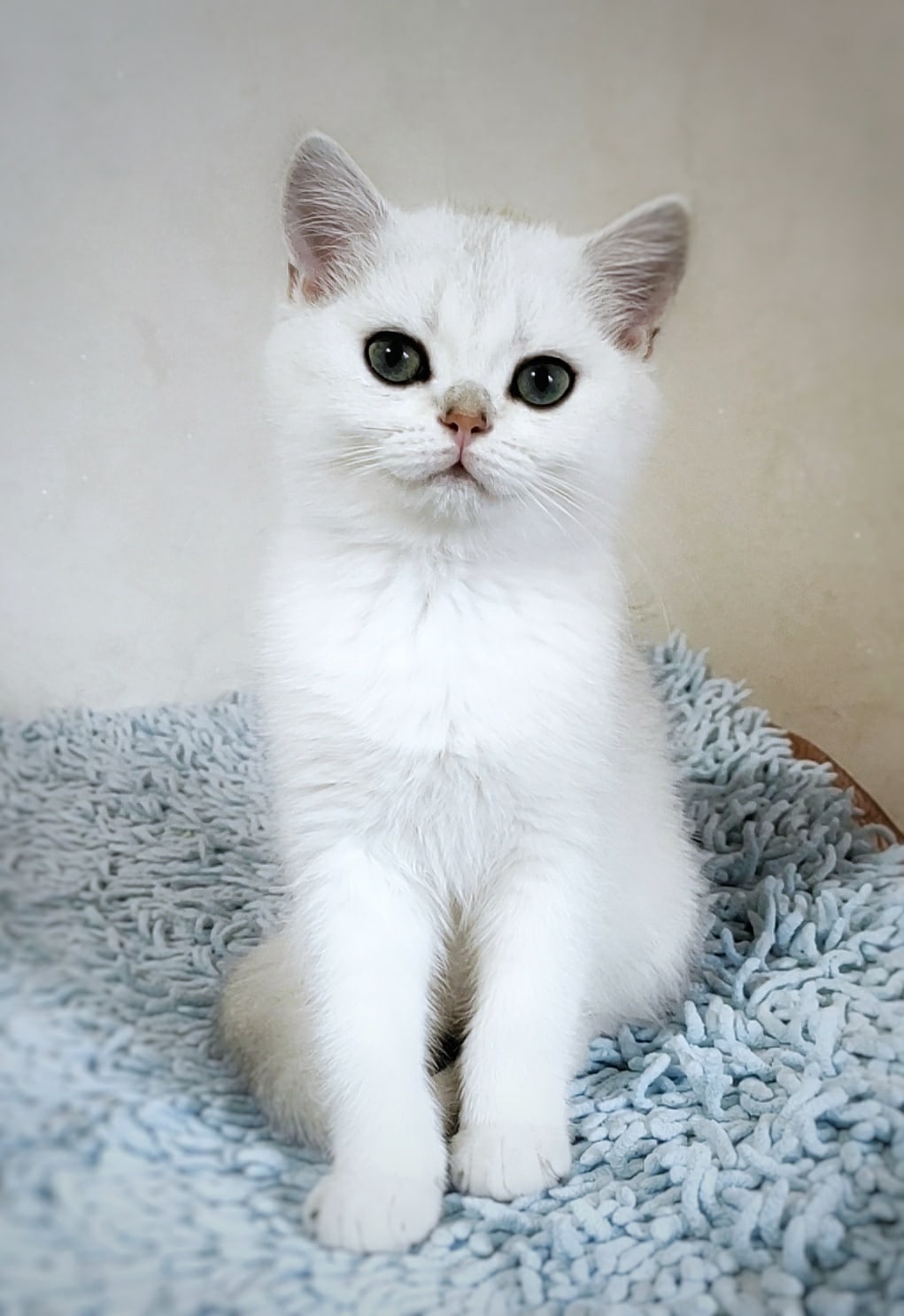 На улице дождь и мне, даже играть не хочется