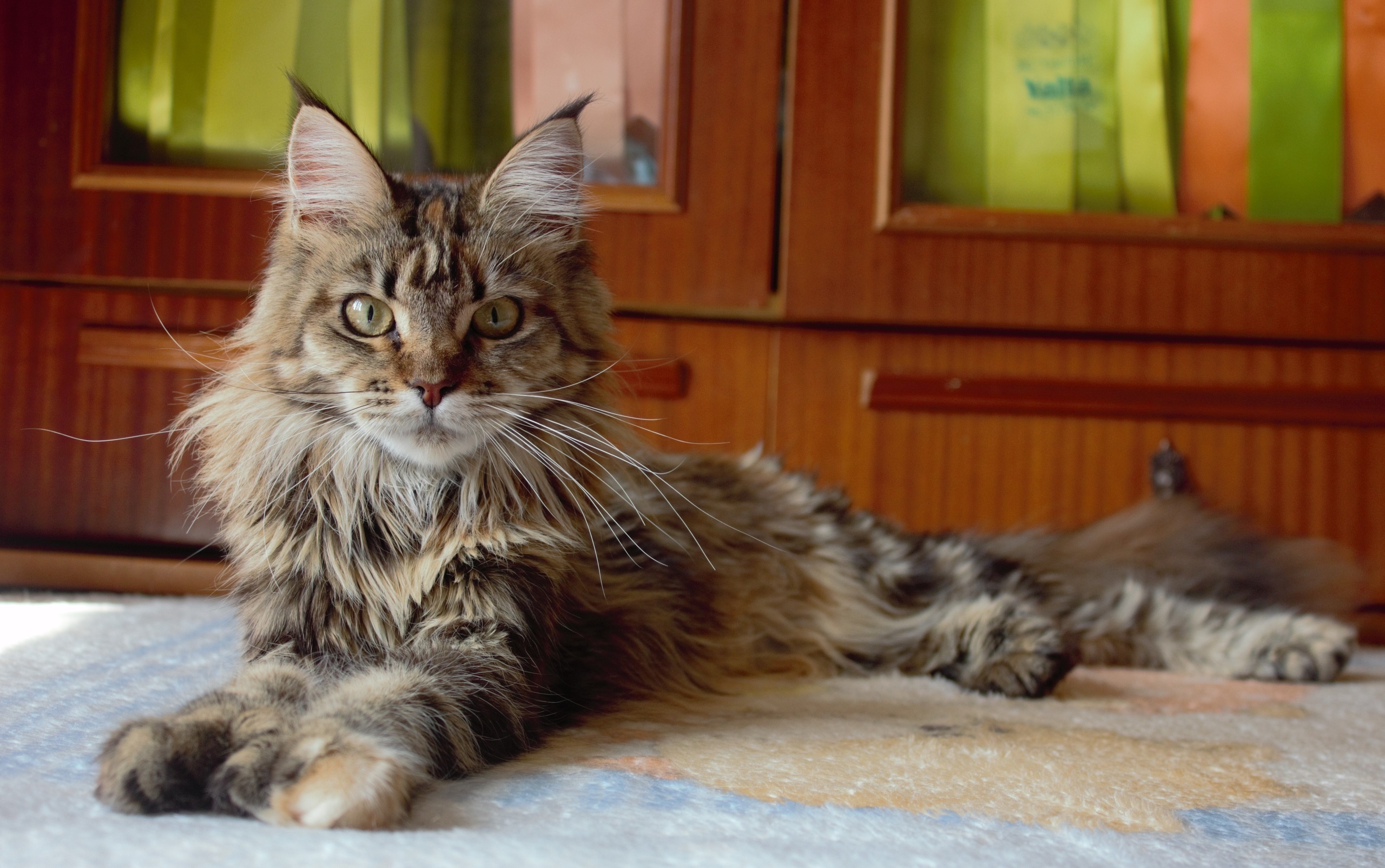 После ночной подзарядки, сил хоть отбавляй