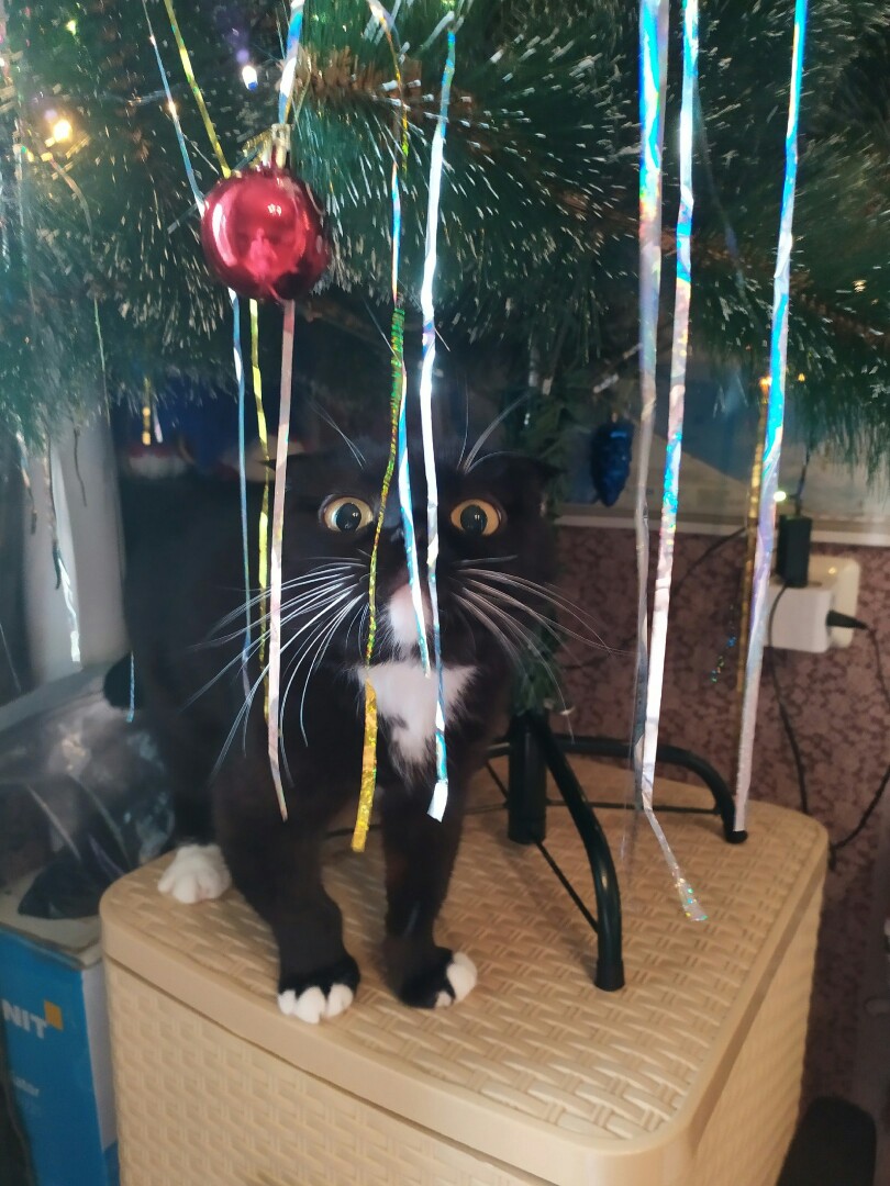 Какой вкуснее, синий или жёлтый