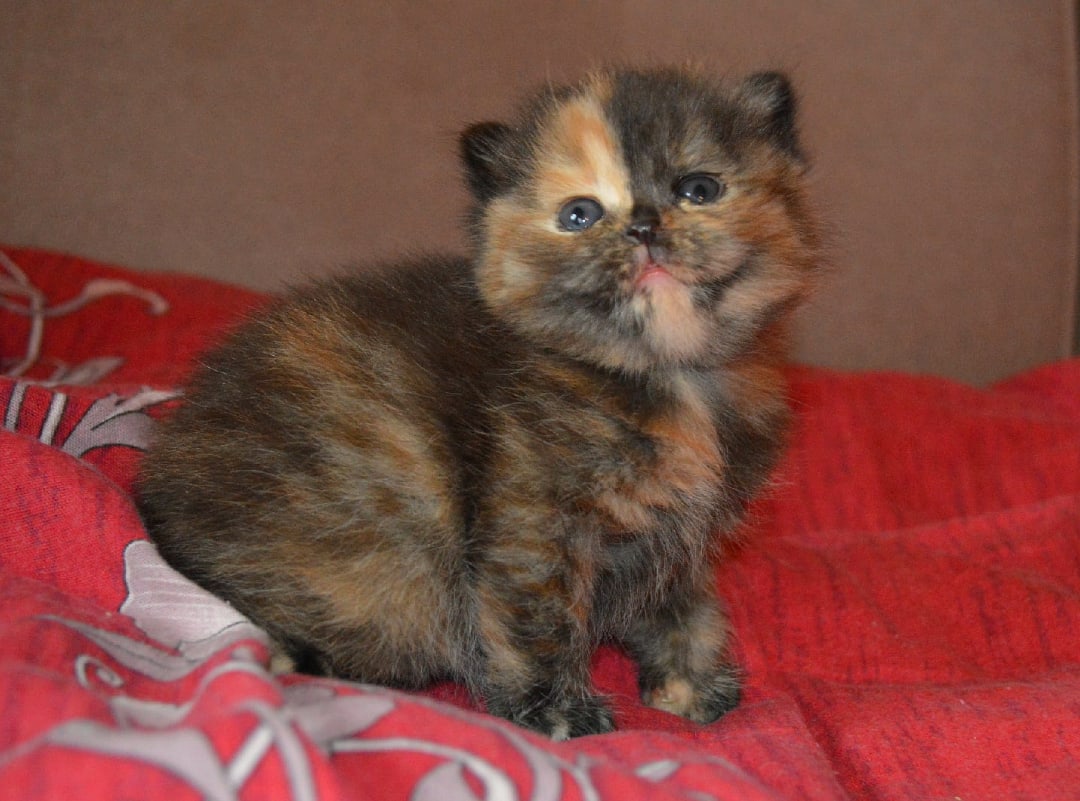 Я буду воображать, а вы улыбайтесь