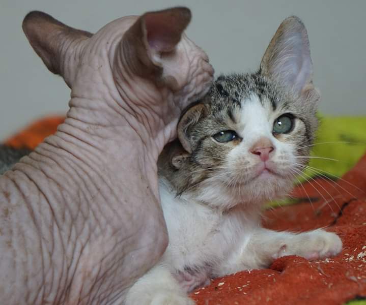 Ты согрей меня, малыш