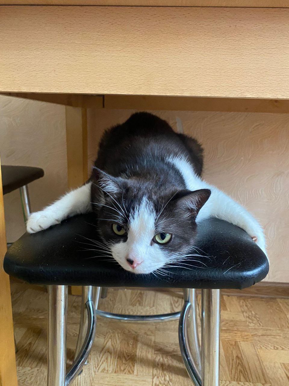 Вы постойте, а я полежу